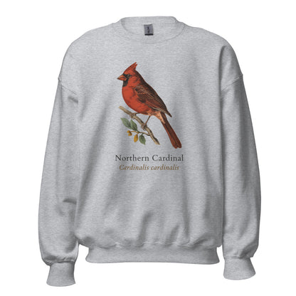 Northern Cardinal vintage field-guide crewneck sweatshirt — Sport Grey, front